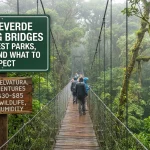 Monteverde hanging bridges
